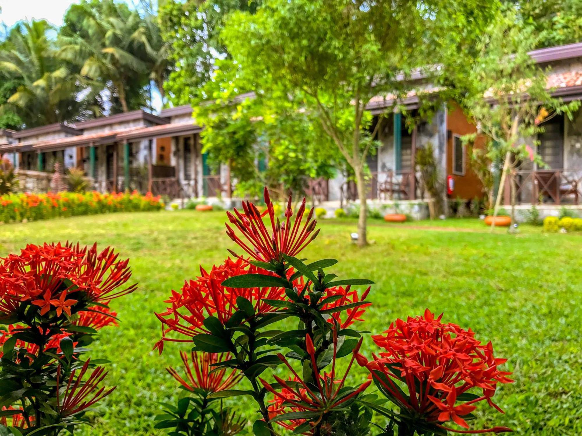 Villa Pinnawala & Restaurant Exterior photo